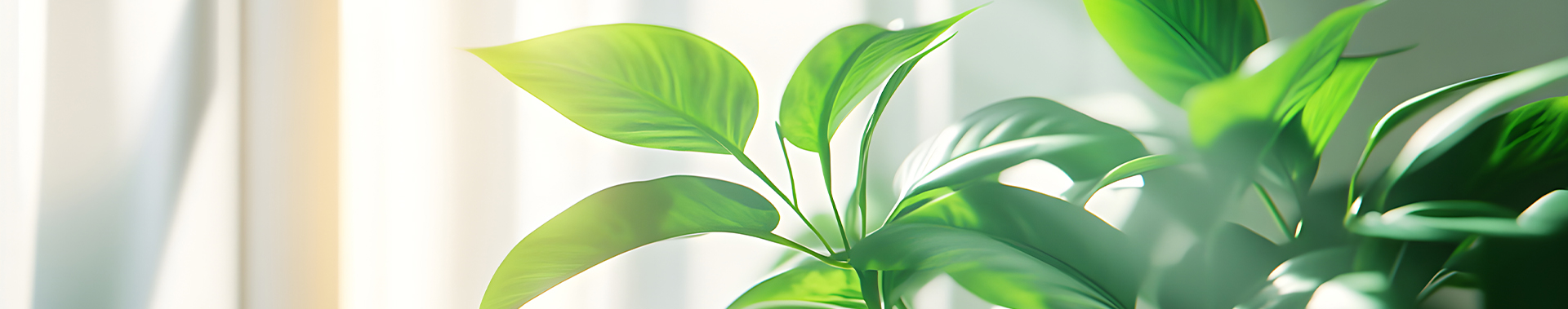 Indoor Air Quality
